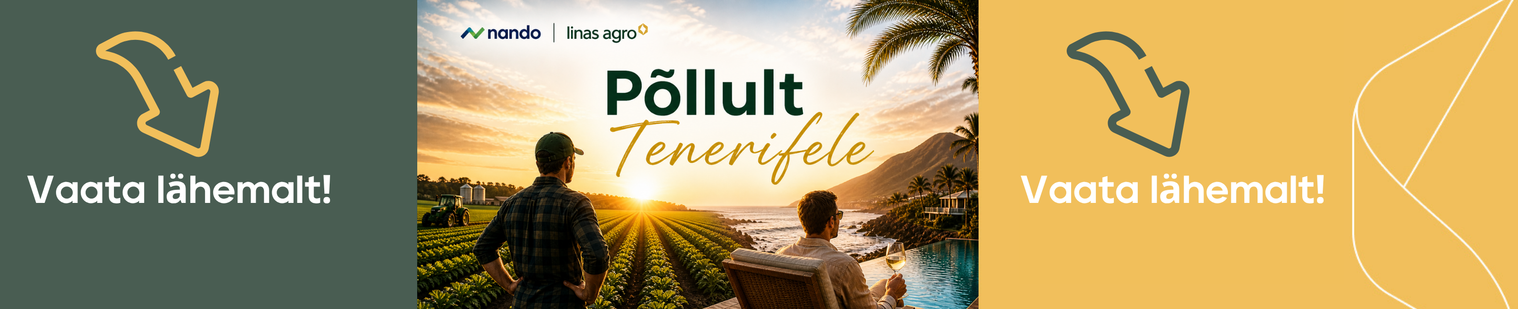 pollult-tenerifele